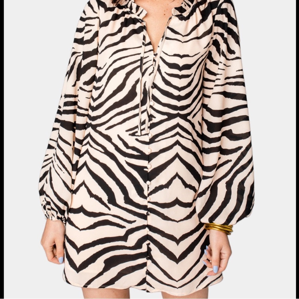 NWT Buddy Love Leah Dress
